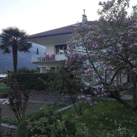 Torilan Apartment